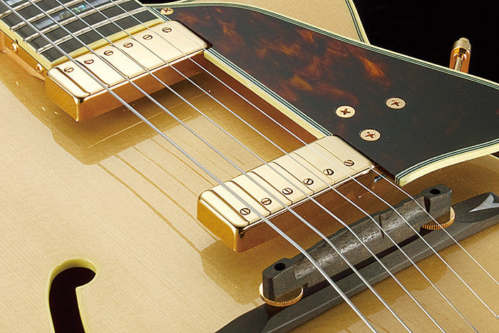 IBANEZ George Benson Signature Hollowbody Gitarre 6-String - Natural + Koffer MGB100C
