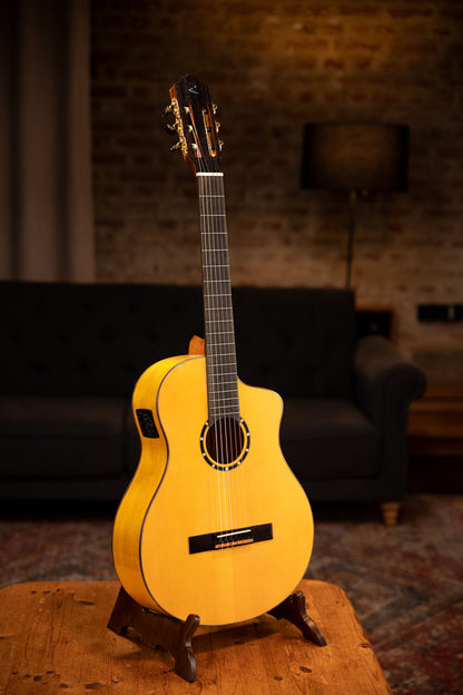 ORTEGA Family Series Pro Akustikgitarre 6 String - Massive Nordamerikanische Fichte + Bag