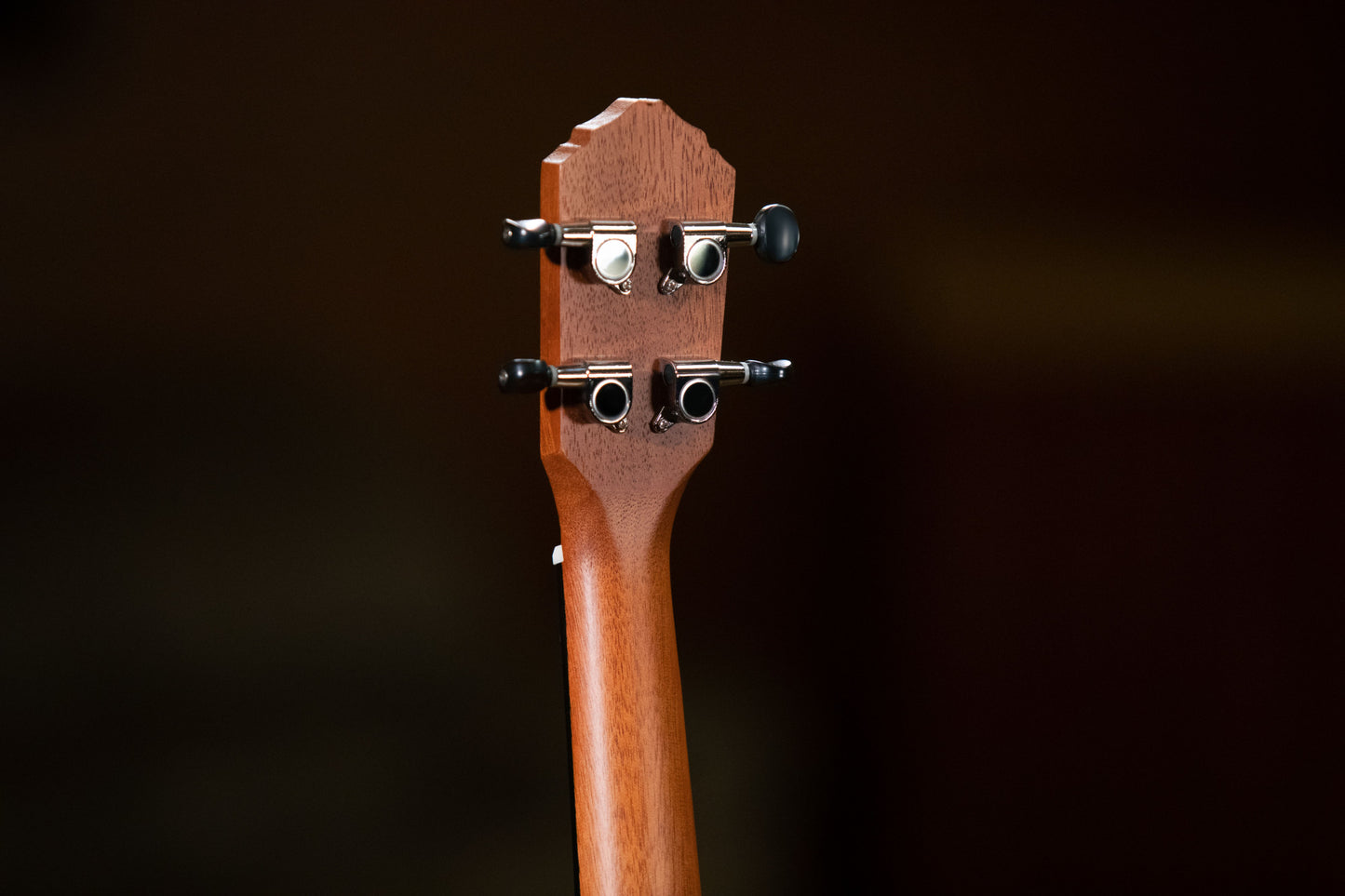 ORTEGA Bonfire Series Concert Ukulele 4 String - Spruce/Sapele Natural