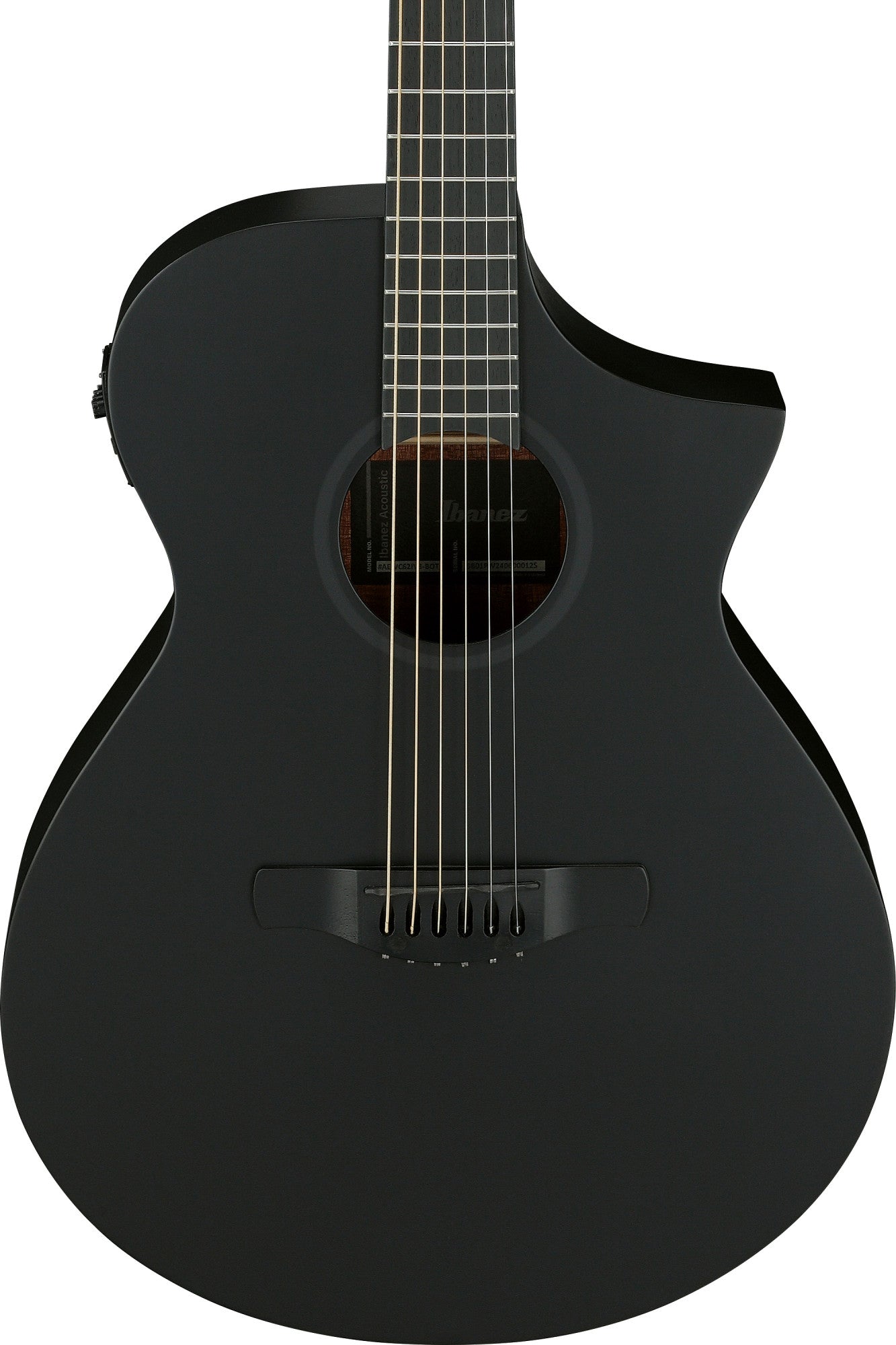 IBANEZ AEWC Acoustic Guitar 6-String - Black Out