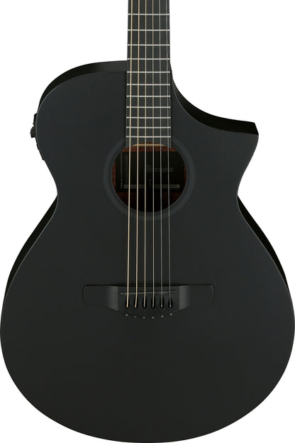IBANEZ AEWC Acoustic Guitar 6-String - Black Out