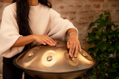 MEINL Sonic Energy Sensory Handpan Stainless Steel D Amara 9 Notes 440 Hz - Vintage Gold