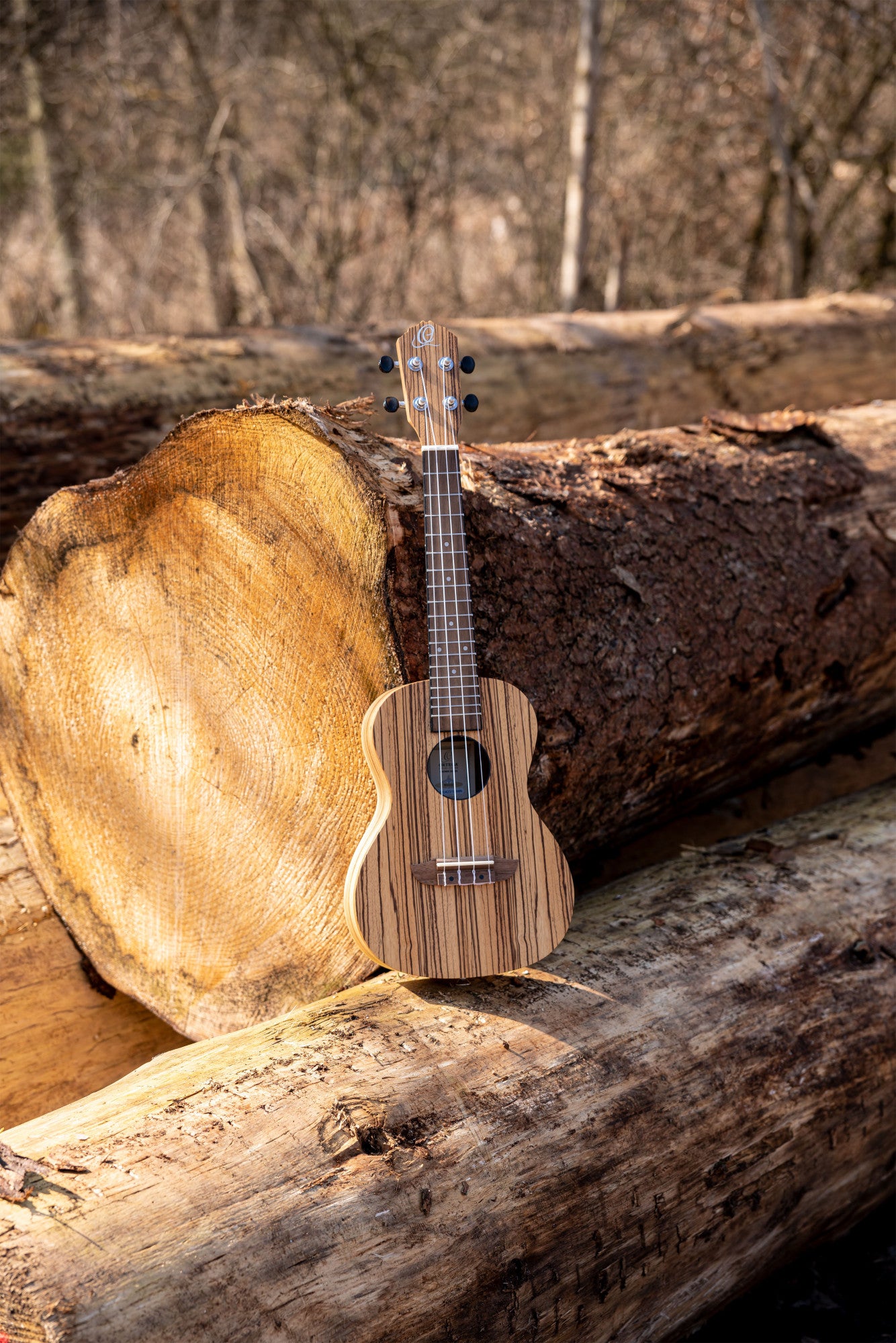 ORTEGA Timber Series Concert Ukulele 4 String - Zebrawood Natural + Bag