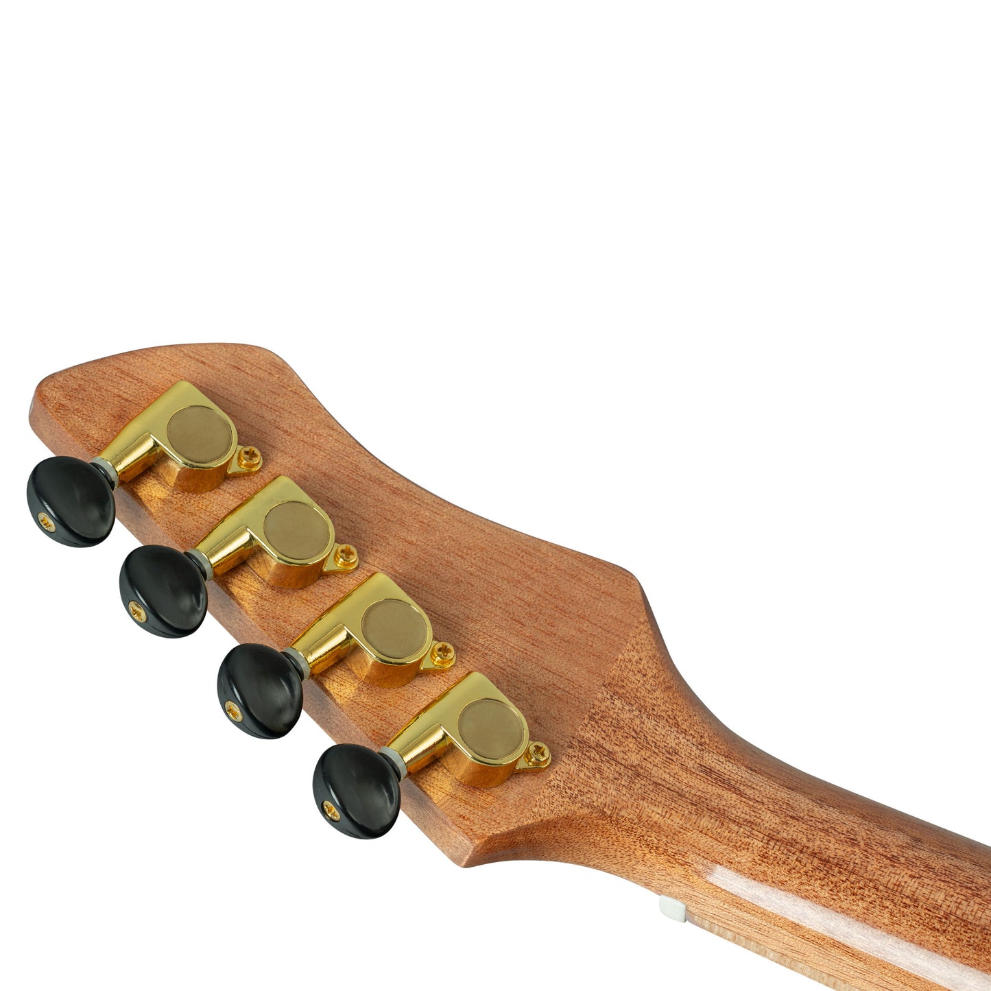 ORTEGA Horizon Series Tenor Ukulele 4 String