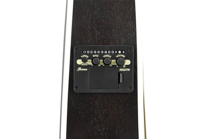 IBANEZ Talman Akustikgitarre 6-String - Galaxy Black Open Pore