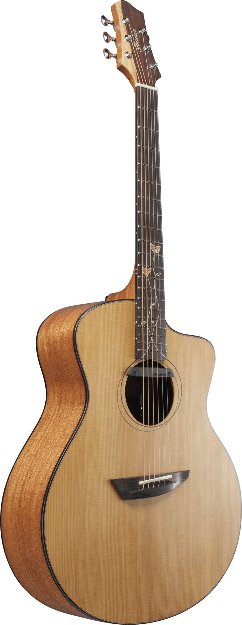 IBANEZ Jon Gomm Signature Akustikgitarre 6-String - Natural + Glasfaser-Koffer