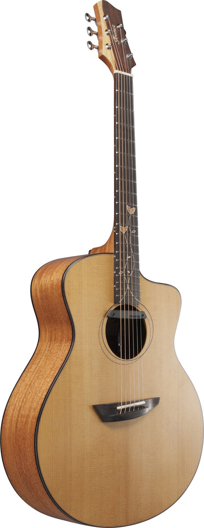 IBANEZ Jon Gomm Signature Akustikgitarre 6-String - Natural + Glasfaser-Koffer