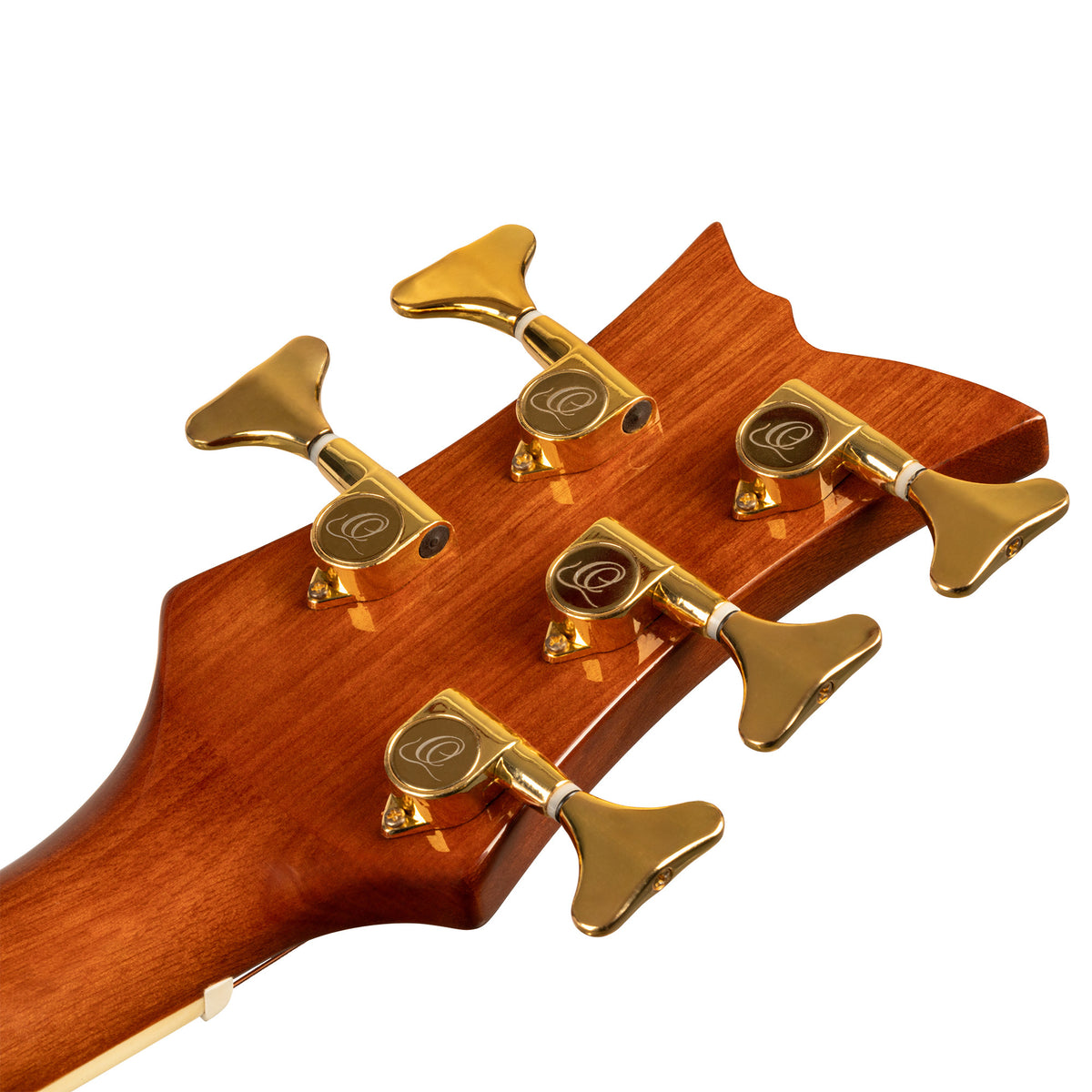 ORTEGA  Deep Series Akustik Bass 5-String Lefty - Medium Scale