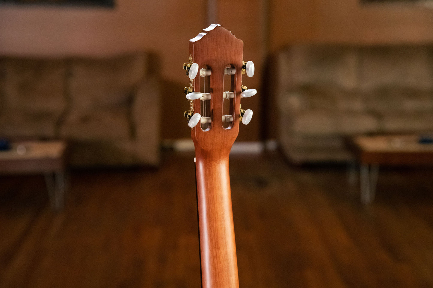 ORTEGA Student Series Pro DeLuxe 4/4 Classical Guitar 6 String - Solid Spruce / Catalpa Natural