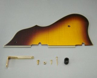 IBANEZ Schlagbrett - AF105VB