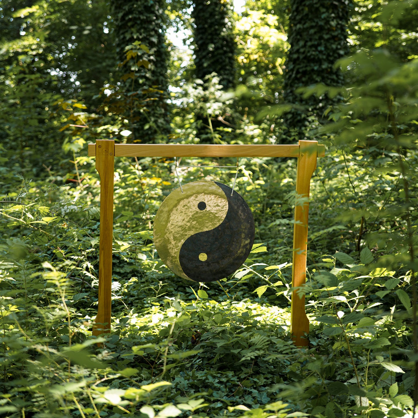 MEINL Sonic Energy Wind Gong - Yin & Yang - 20" + Beater & Cover