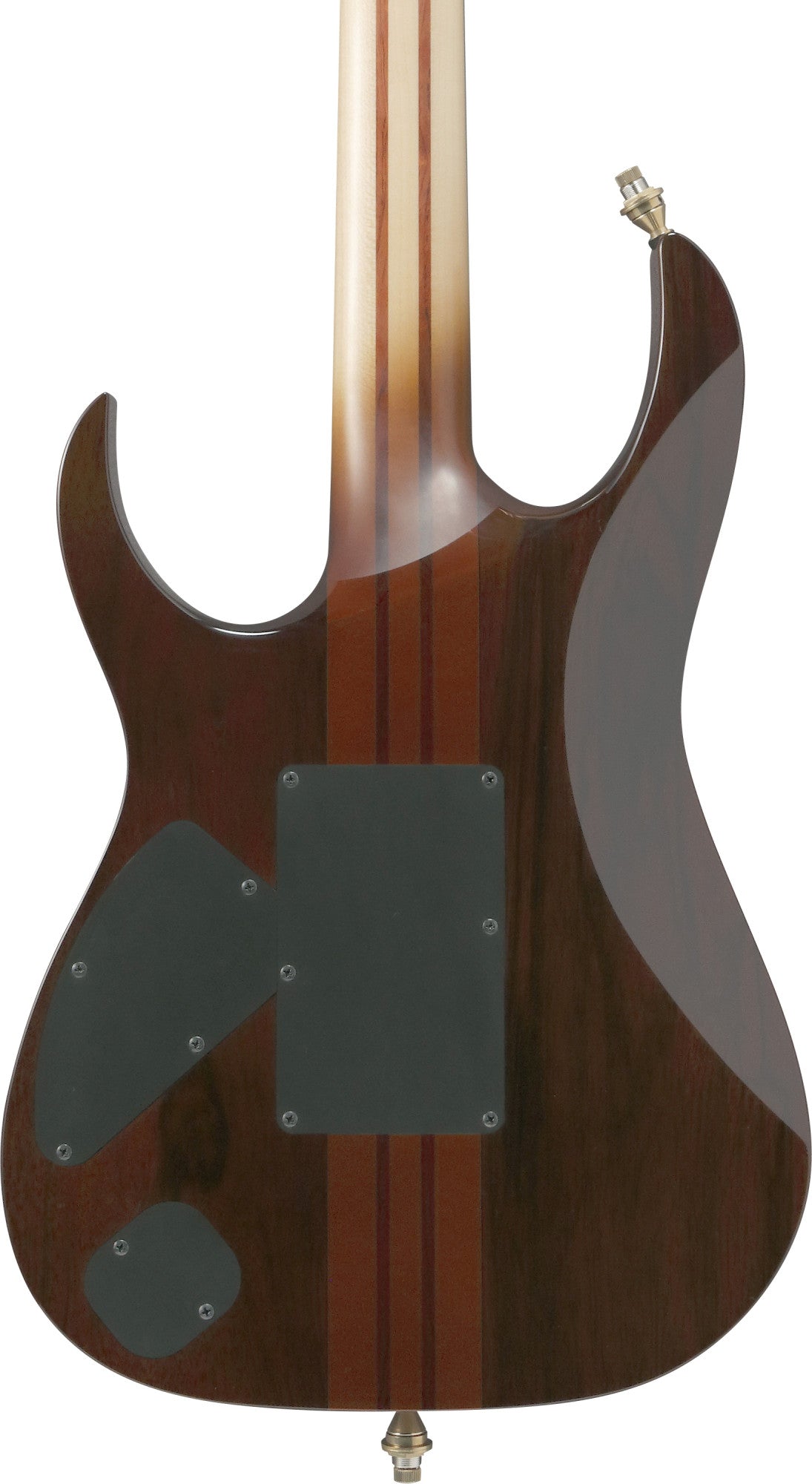 IBANEZ Visions RG E-Gitarre 6-String + Koffer
