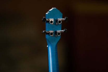 ORTEGA Earth Serie Konzert Ukulele 4 String - Ocean Blue