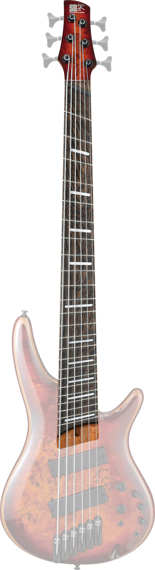 IBANEZ Hals für SRMS806-BTT