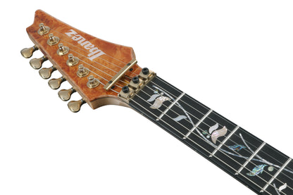 IBANEZ Visions RG E-Gitarre 6-String + Koffer
