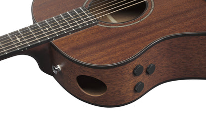 IBANEZ Advanced Acoustic, Platinum Collection 6-Str Natural Low Gloss Auditorium Body