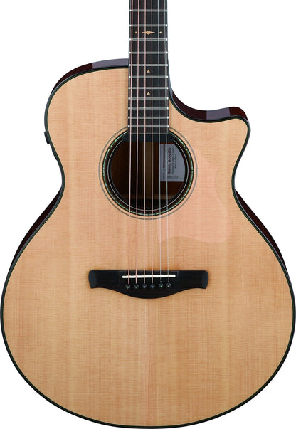 IBANEZ Platinum Collection Acoustic Guitar 6 String - Natural Low Gloss + Case