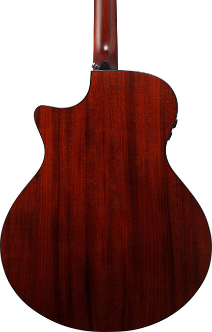IBANEZ Platinum Collection Acoustic Guitar 6 String - Natural Low Gloss + Case