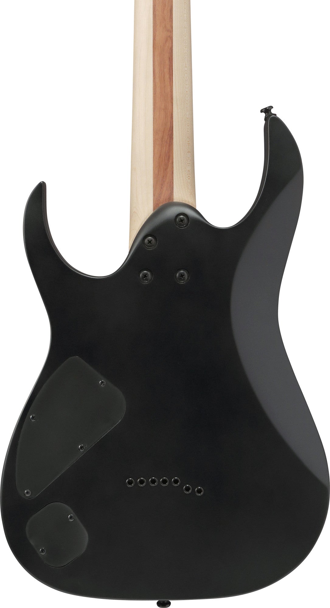 IBANEZ Iron Label RG Electric Guitar 7-String - Black Flat