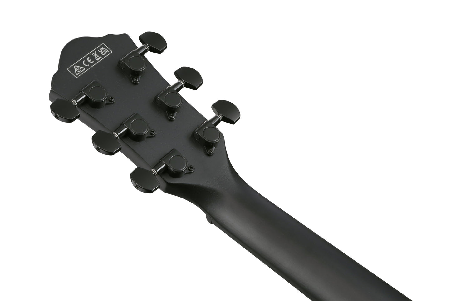 IBANEZ AEWC Acoustic Guitar 6-String - Black Out