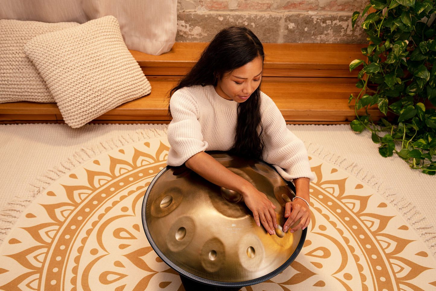 MEINL Sonic Energy Sensory Handpan Stainless Steel D Amara 10 Notes 440 Hz - Vintage Gold