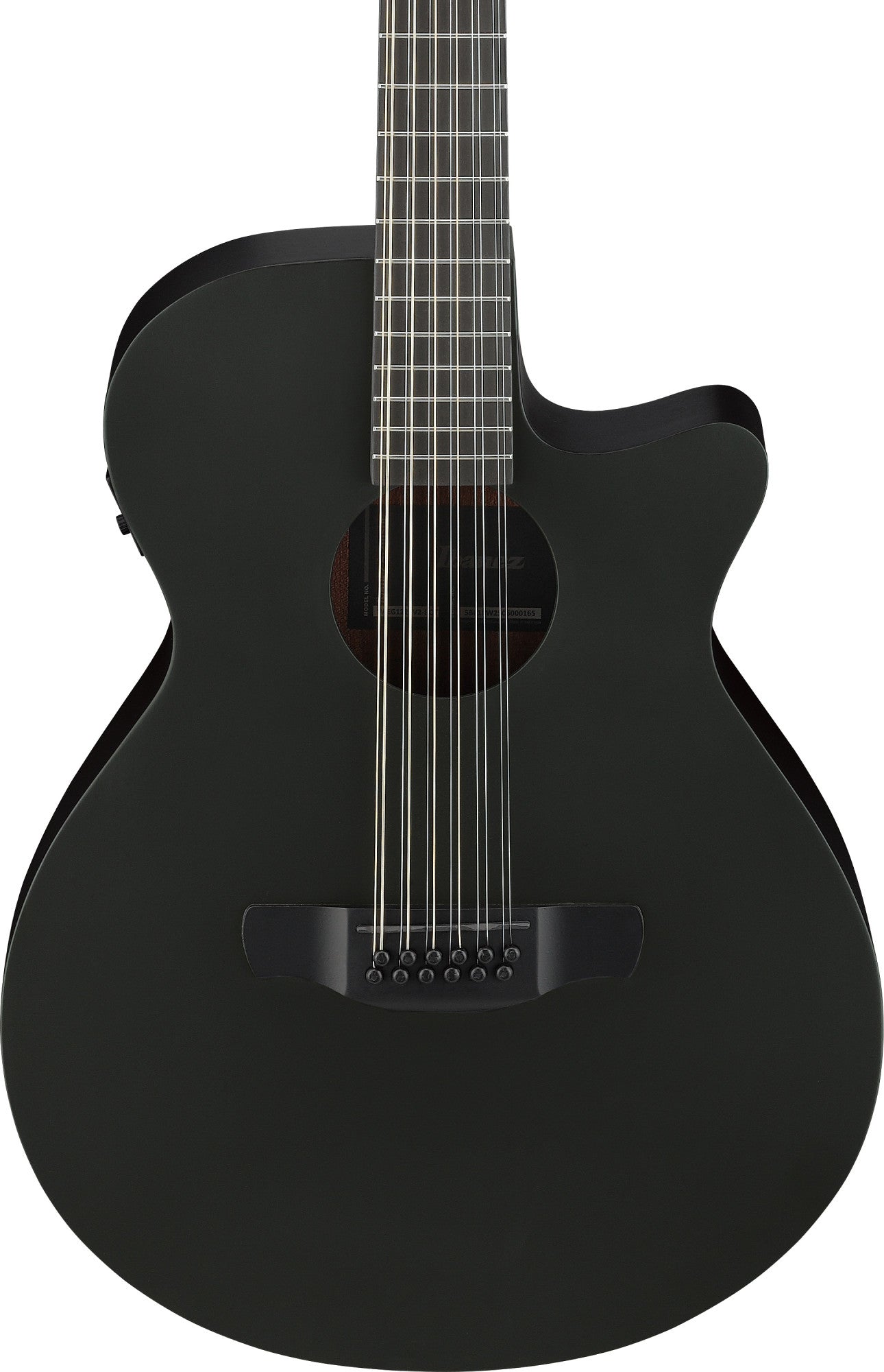 IBANEZ AEG Akustikgitarre 12-String - Black Out