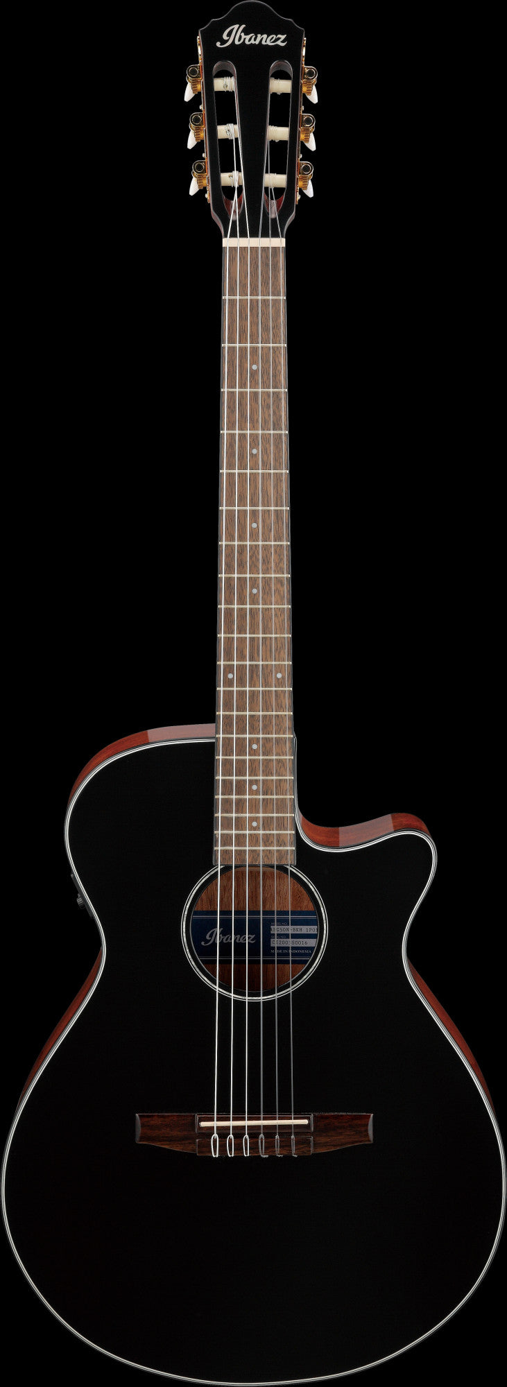 IBANEZ AEG Konzertgitarre 6-String - Black High Gloss
