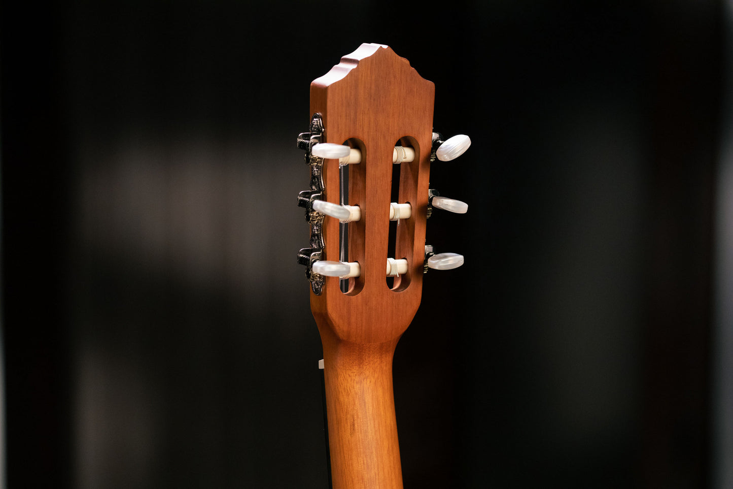 ORTEGA Family Series 4/4 Classical Slim Neck Guitar 6 String - Cedar / Mahogany Natural + Gigbag