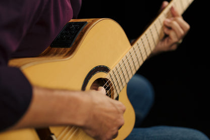 ORTEGA Thomas Zwijsen Signature Konzertgitarre 6-String + Softcase