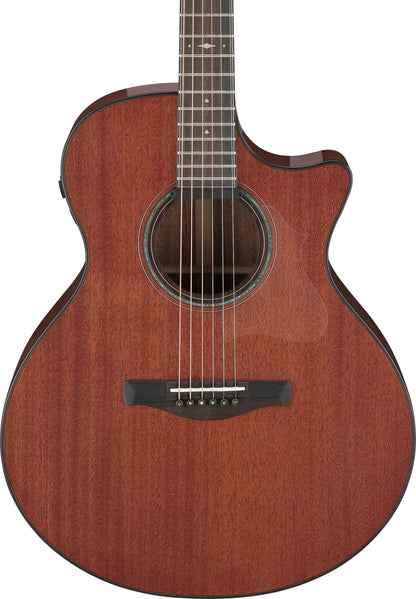 IBANEZ Platinum Collection AE Akustikgitarre 6-String - Natural Low Gloss + Koffer
