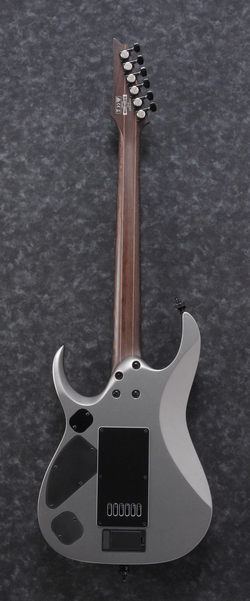 IBANEZ Axe Design Lab RGD Electric Guitar 6-String - Metallic Gray Matte