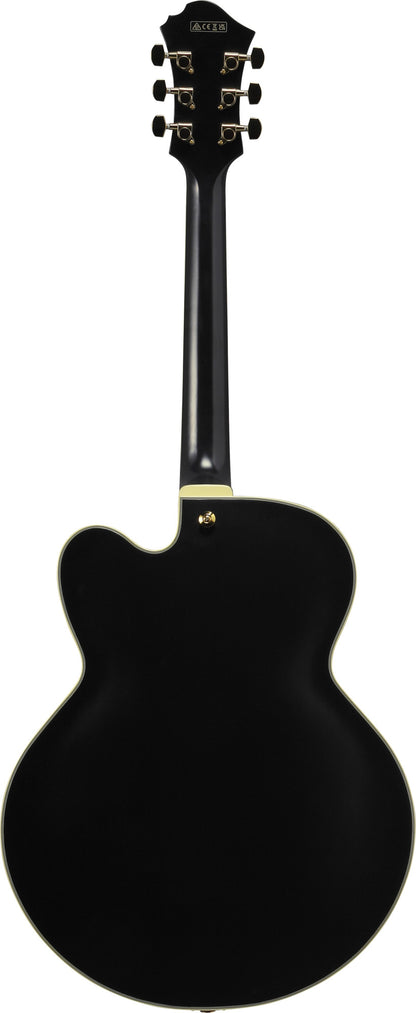 IBANEZ Pat Metheny Signature Hollow Body Guitar 6-String - Black Low Gloss + Case