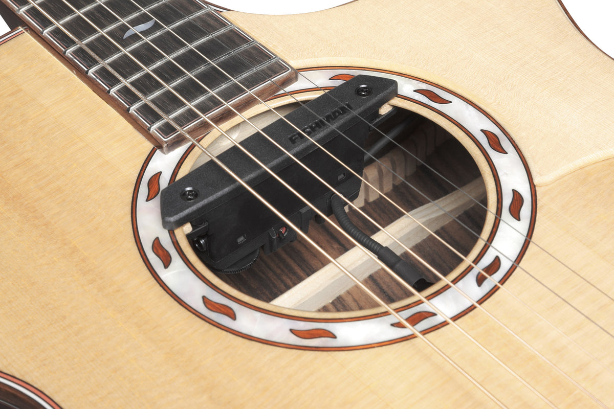 IBANEZ Marcin Signature Acoustic Guitar 6-String - Natural + Gigbag