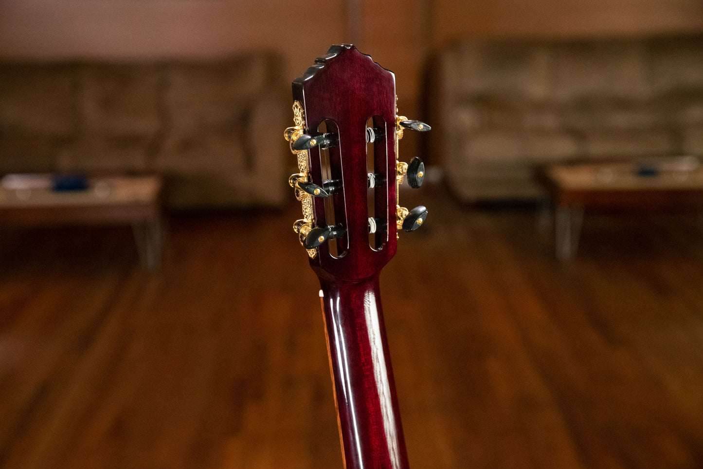 ORTEGA Performer Series 4/4 Thinline Konzertgitarre 6-String - Stained Red + Gigbag