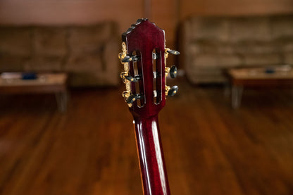 ORTEGA Performer Series 4/4 Thinline Konzertgitarre 6-String - Stained Red + Gigbag