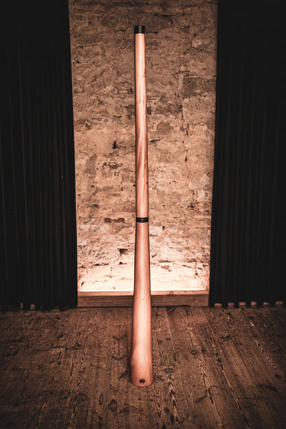 Meinl Sonic Energy Sliced Pro Didgeridoo - D Stimmung - Natur