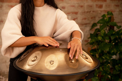 MEINL Sonic Energy Sensory Handpan Stainless Steel D Amara 10 Notes 440 Hz - Vintage Gold