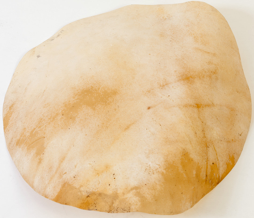 MEINL Percussion goat head - for djembefola