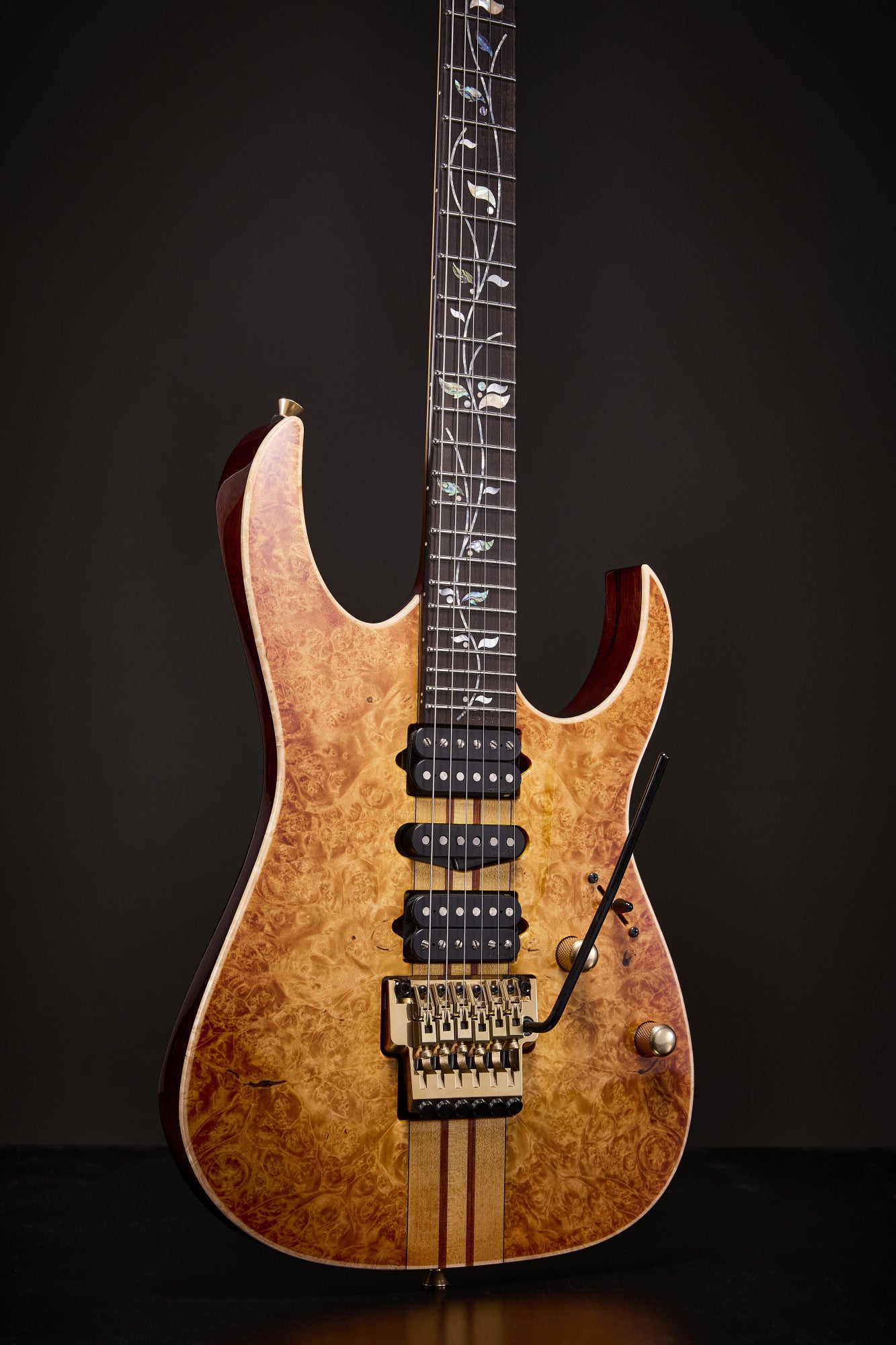 IBANEZ Visions RG E-Gitarre 6-String + Koffer