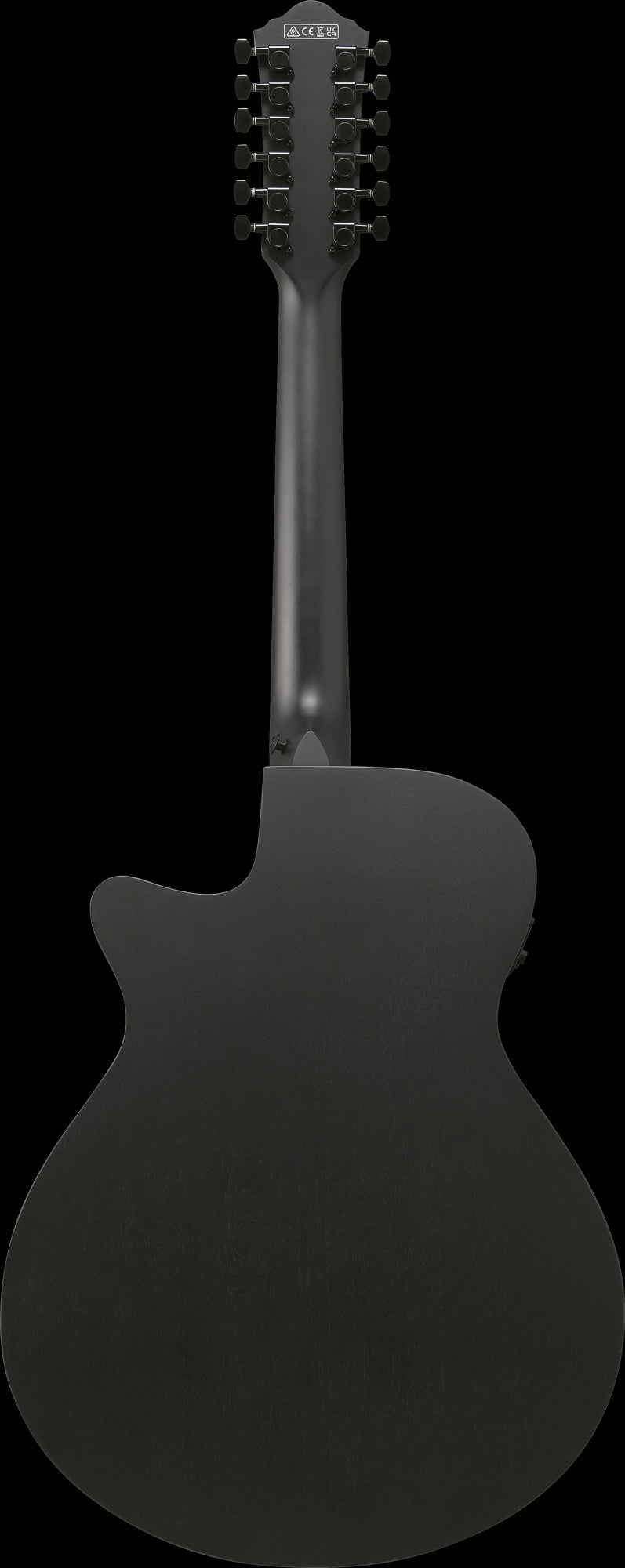 IBANEZ AEG Akustikgitarre 12-String - Black Out