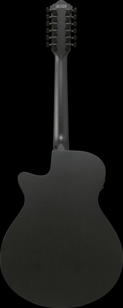 IBANEZ AEG Akustikgitarre 12-String - Black Out