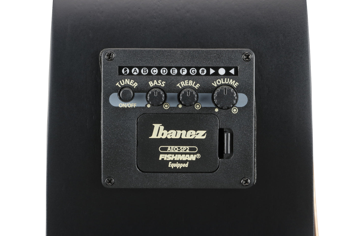 IBANEZ AEG Acoustic Guitar 7-String - Black Out