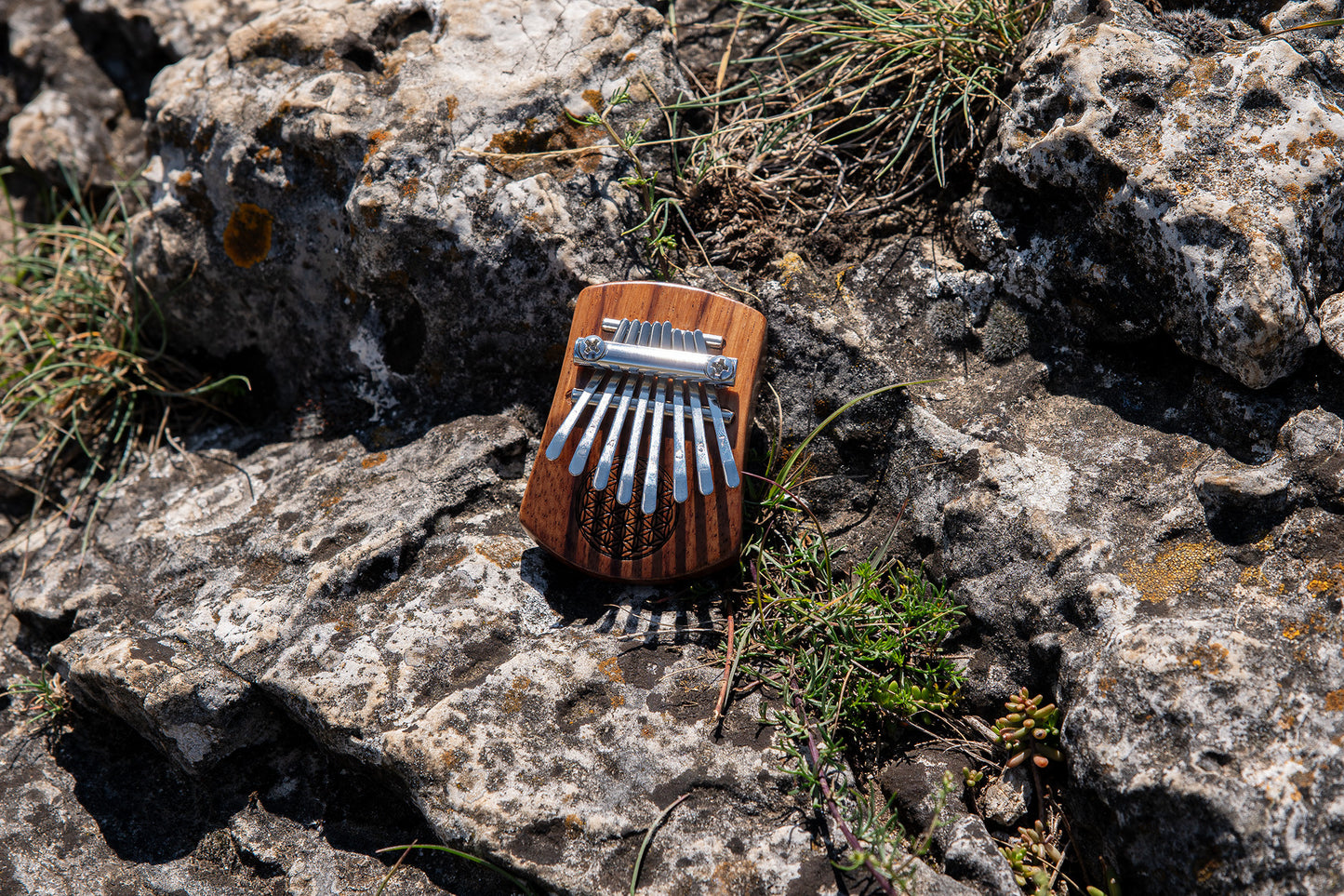 Meinl Sonic Energy Solid "Flower of Life" Mini Kalimba - 8 Töne / rotes Zebraholz