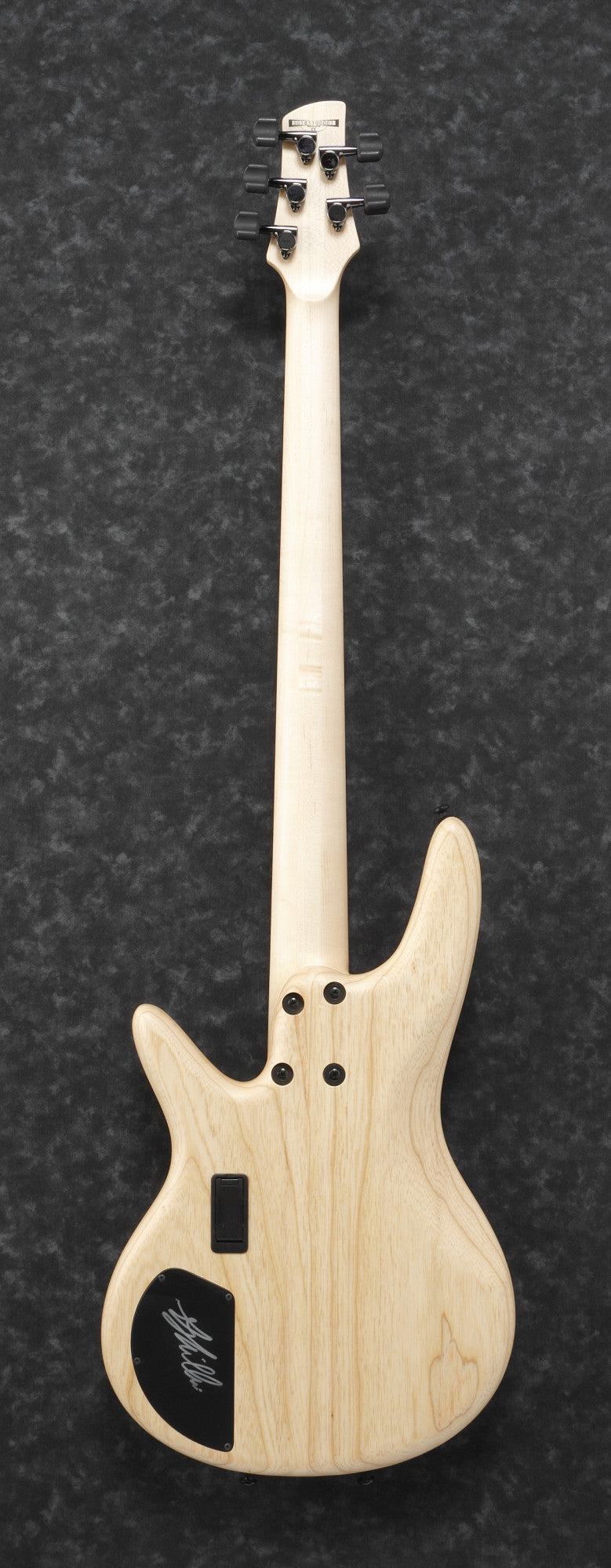 IBANEZ Gary Willis Signature E-Bass 5-String Fretless - Natural Flat + Koffer M20SR
