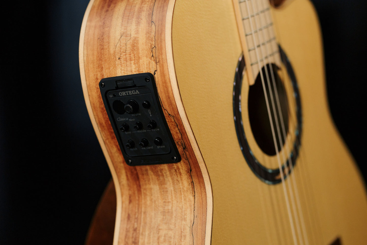 ORTEGA Thomas Zwijsen Signature Konzertgitarre 6-String + Softcase