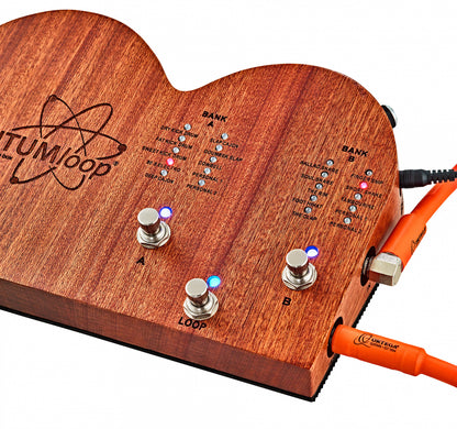 ORTEGA Stomp Box Effect Series Stomp Box & Looper