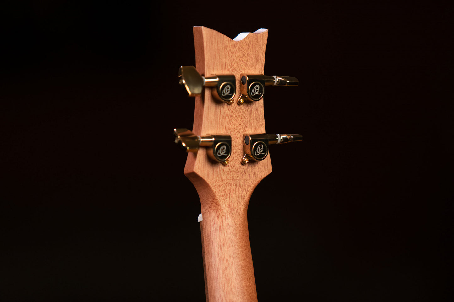 ORTEGA Lizard Series Concert Ukulele 4 String - Paldao Natural + Bag