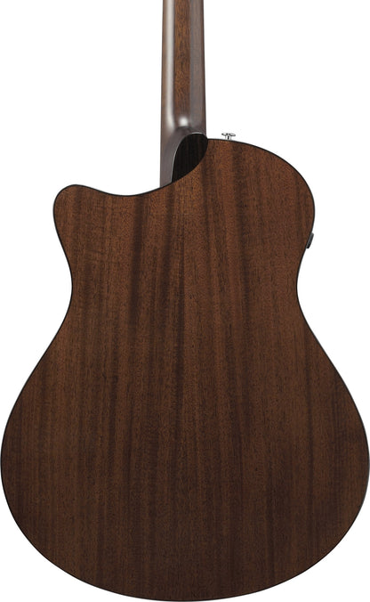 IBANEZ Advanced Acoustic, Platinum Collection 6-Str Natural High Gloss Auditorium Body