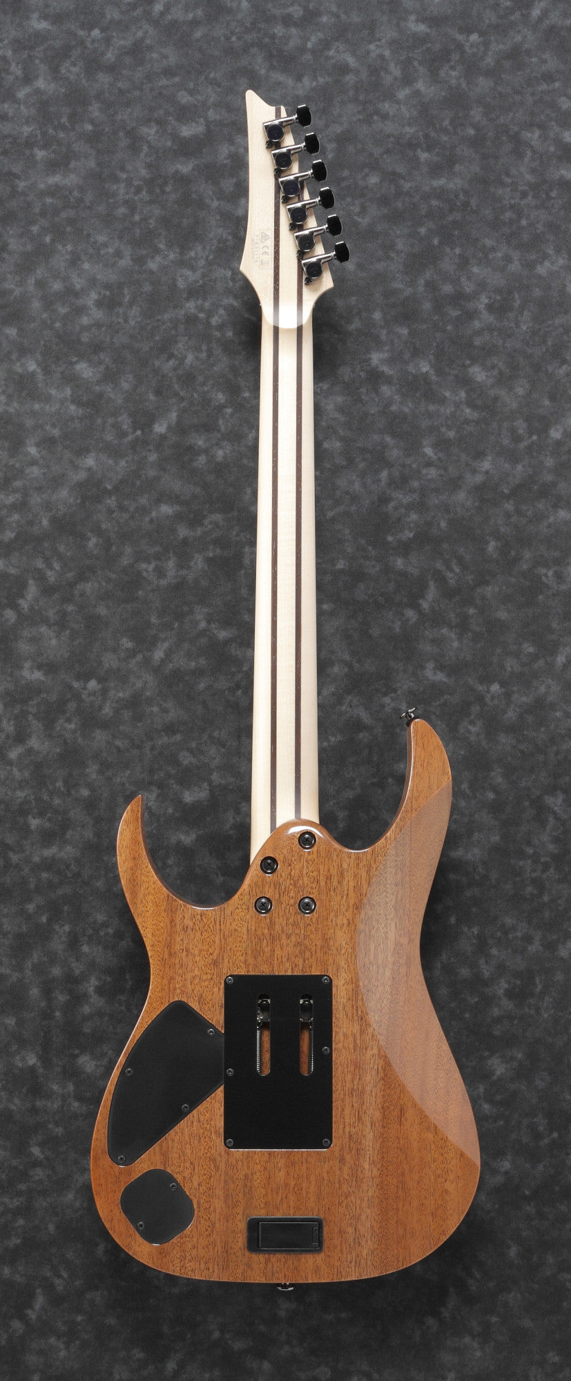 IBANEZ Prestige RG E-Gitarre 6-String - Frozen Ocean + Koffer M20RG