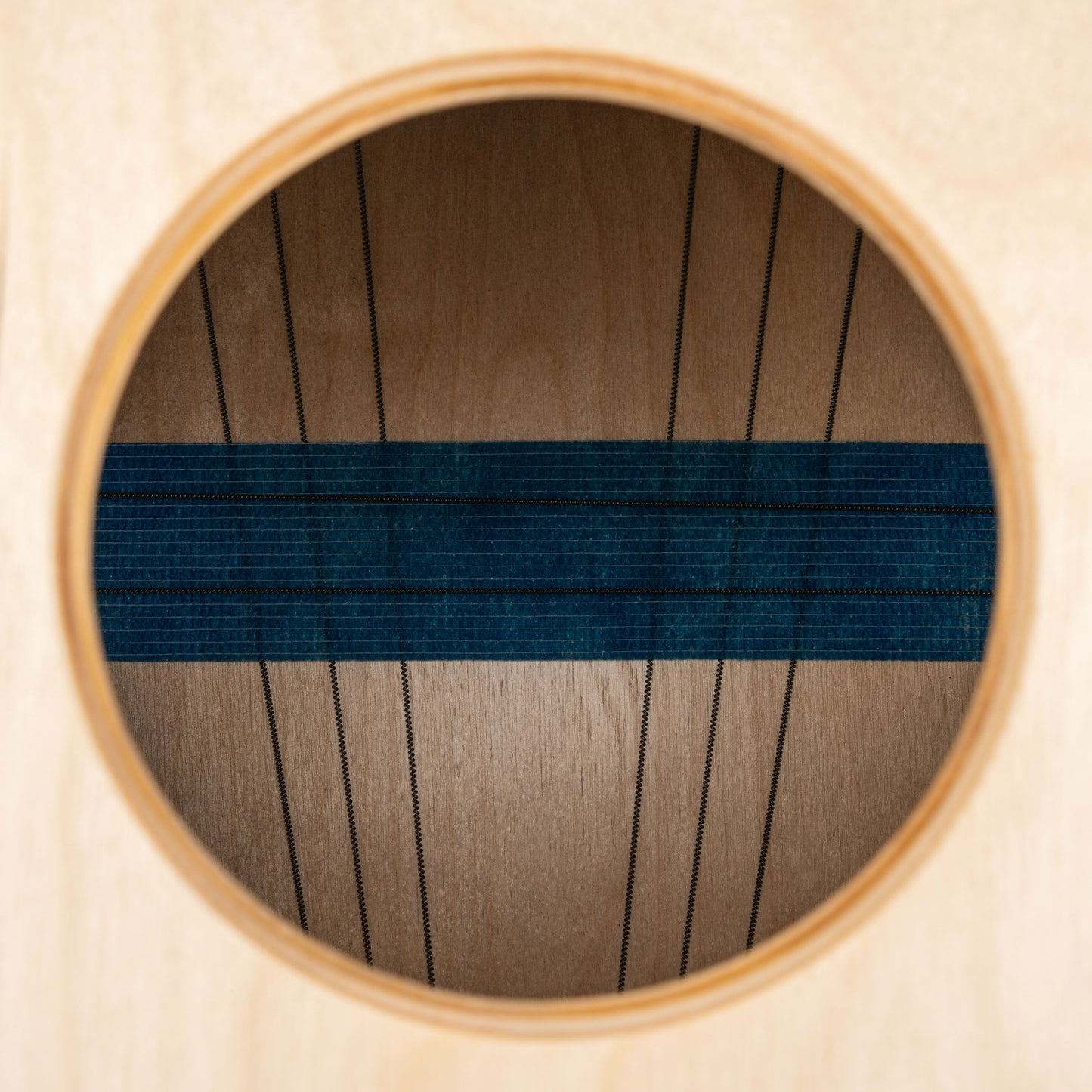 MEINL Percussion Artisan Edition Series String Cajon Tango Line - Blue Fade